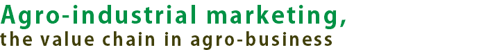 Agro-industrial marketing, the value chain in agro-business